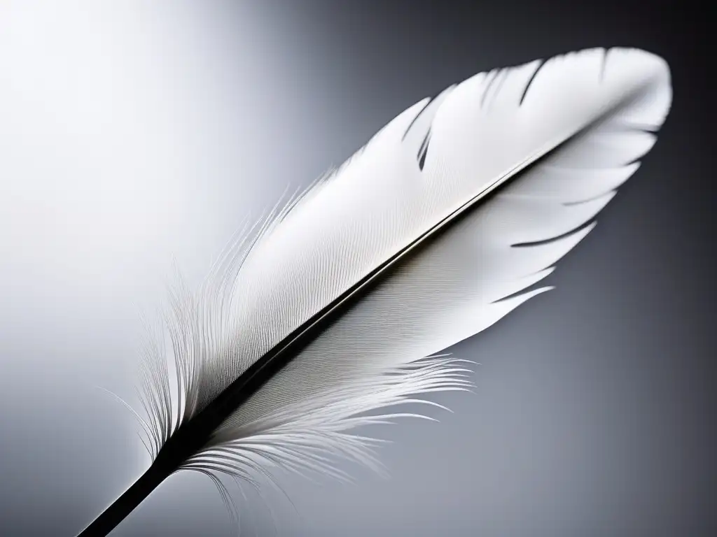 Importancia ética en el siglo XXI: pluma blanca pura en superficie reflectante